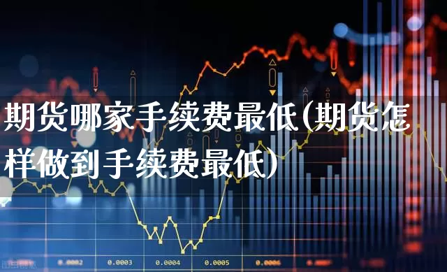 期货哪家手续费最低(期货怎样做到手续费最低)_https://www.nalian8.com_上交所_第1张