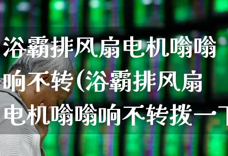 浴霸排风扇电机嗡嗡响不转(浴霸排风扇电机嗡嗡响不转拨一下转)_https://www.nalian8.com_创业板_第1张