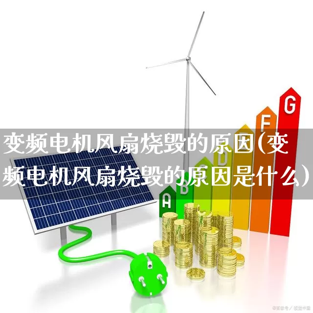 变频电机风扇烧毁的原因(变频电机风扇烧毁的原因是什么)_https://www.nalian8.com_深交所_第1张
