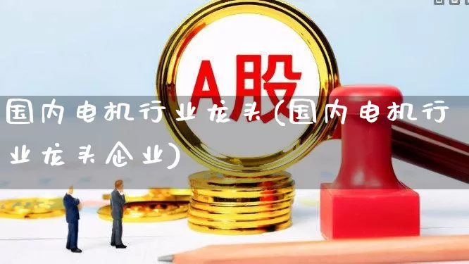 国内电机行业龙头(国内电机行业龙头企业)_https://www.nalian8.com_上交所_第1张