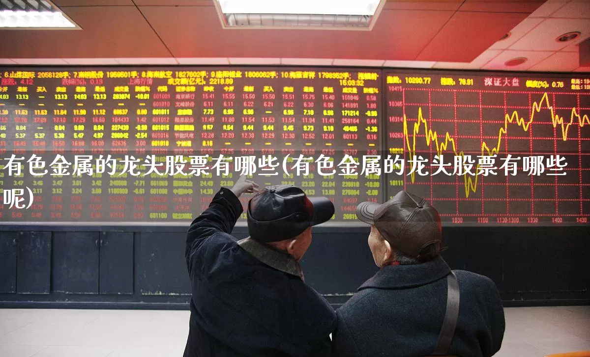 有色金属的龙头股票有哪些(有色金属的龙头股票有哪些呢)_https://www.nalian8.com_深交所_第1张