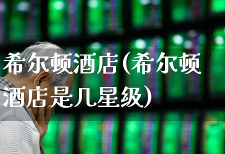 希尔顿酒店(希尔顿酒店是几星级)_https://www.nalian8.com_北交所_第1张