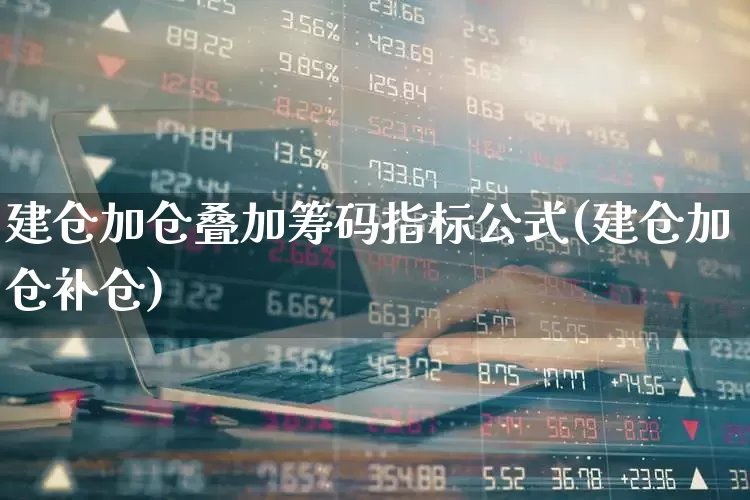 建仓加仓叠加筹码指标公式(建仓加仓补仓)_https://www.nalian8.com_北交所_第1张