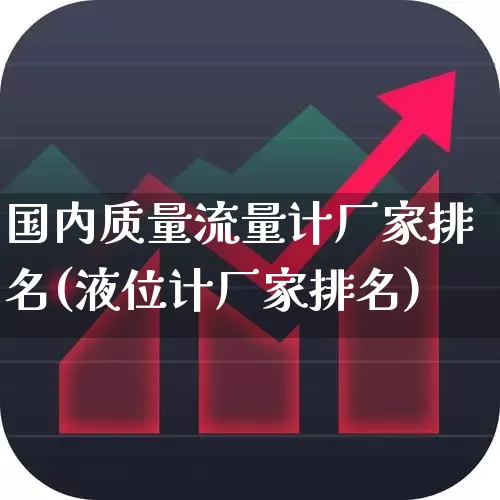 国内质量流量计厂家排名(液位计厂家排名)_https://www.nalian8.com_深交所_第1张