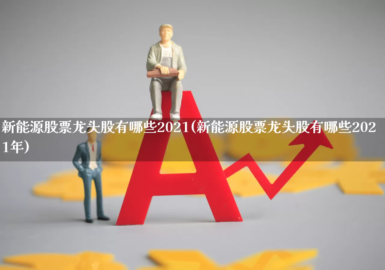 新能源股票龙头股有哪些2021(新能源股票龙头股有哪些2021年)_https://www.nalian8.com_上交所_第1张