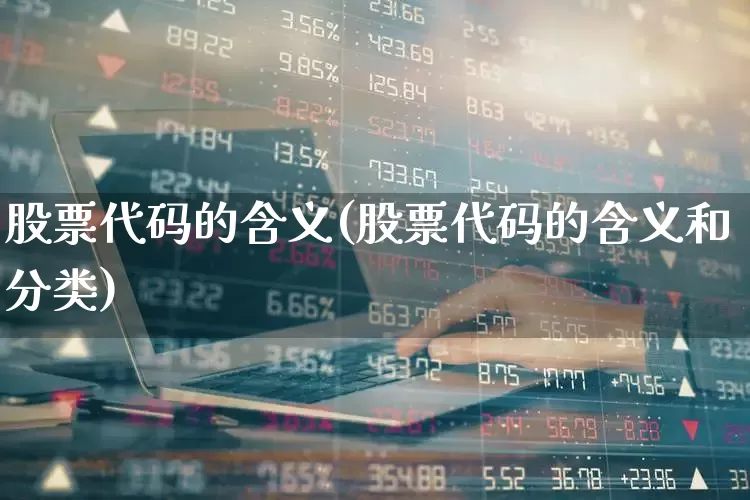 股票代码的含义(股票代码的含义和分类)_https://www.nalian8.com_深交所_第1张