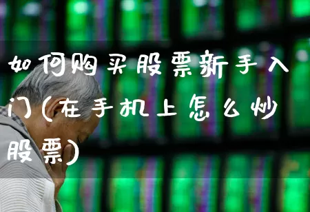 如何购买股票新手入门(在手机上怎么炒股票)_https://www.nalian8.com_上交所_第1张