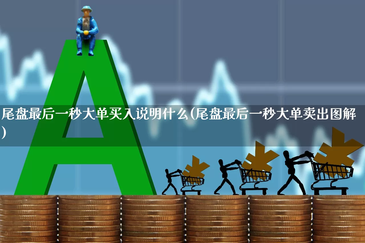 尾盘最后一秒大单买入说明什么(尾盘最后一秒大单卖出图解)_https://www.nalian8.com_创业板_第1张