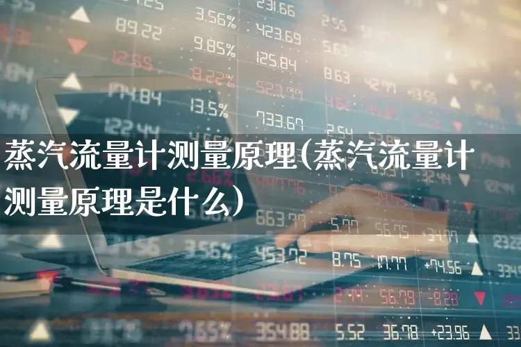蒸汽流量计测量原理(蒸汽流量计测量原理是什么)_https://www.nalian8.com_北交所_第1张