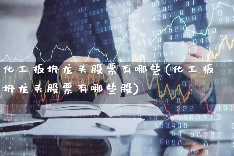 化工板块龙头股票有哪些(化工板块龙头股票有哪些股)_https://www.nalian8.com_上交所_第1张