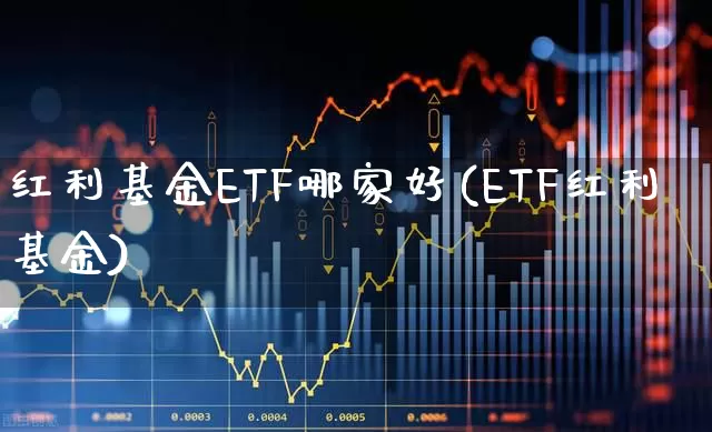 红利基金ETF哪家好(ETF红利基金)_https://www.nalian8.com_创业板_第1张