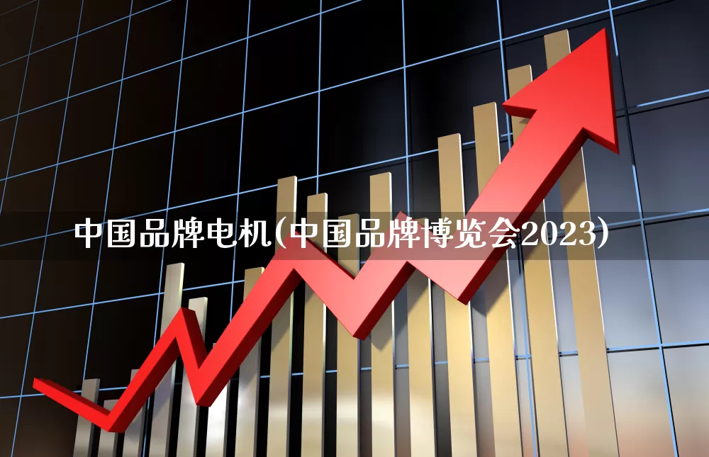 中国品牌电机(中国品牌博览会2023)_https://www.nalian8.com_北交所_第1张