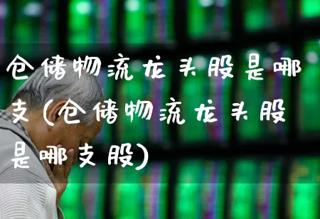 仓储物流龙头股是哪支(仓储物流龙头股是哪支股)_https://www.nalian8.com_科创板_第1张