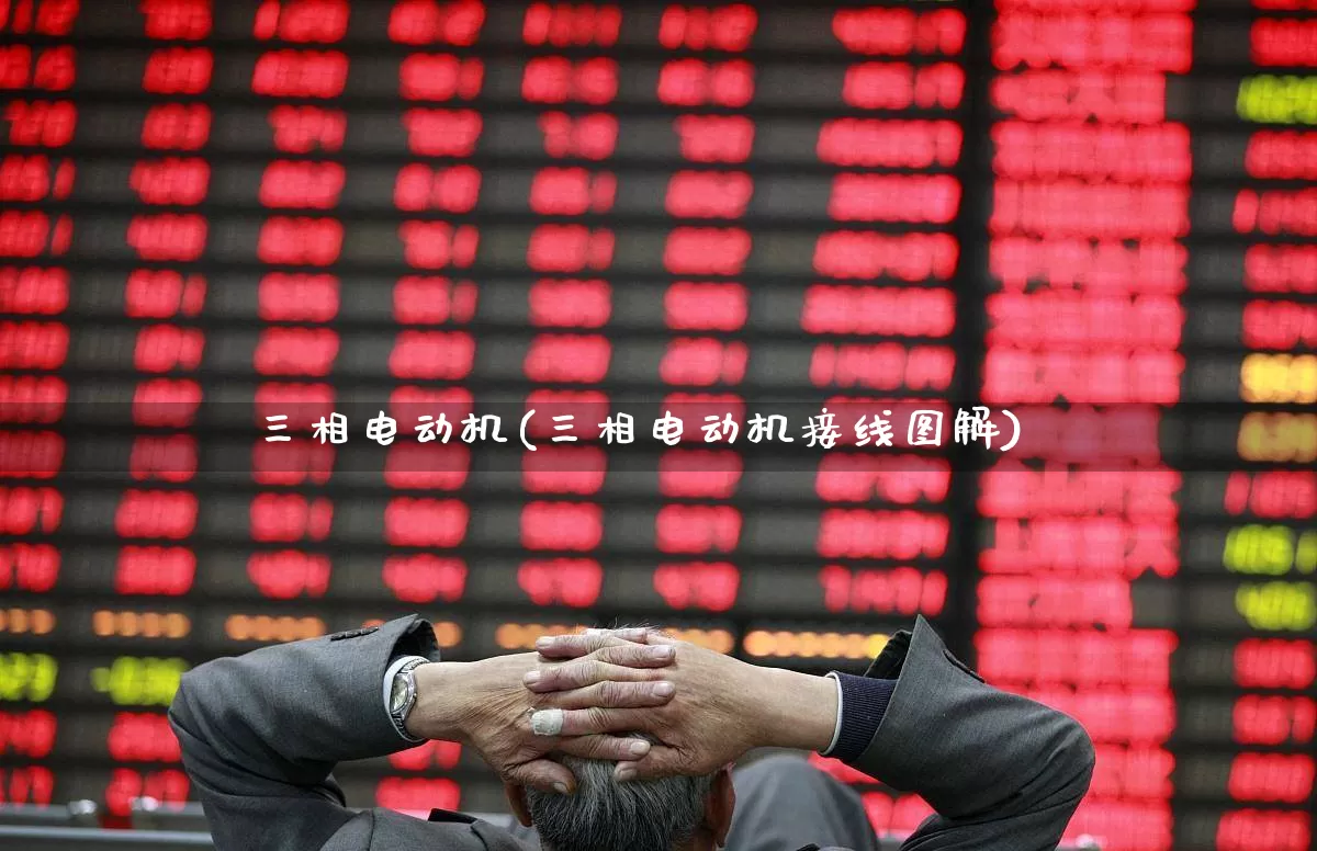 三相电动机(三相电动机接线图解)_https://www.nalian8.com_上交所_第1张