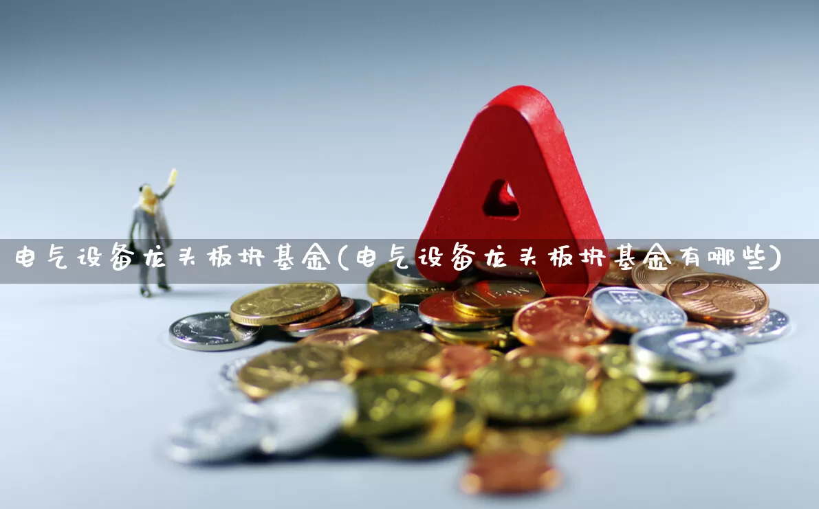 电气设备龙头板块基金(电气设备龙头板块基金有哪些)_https://www.nalian8.com_上交所_第1张