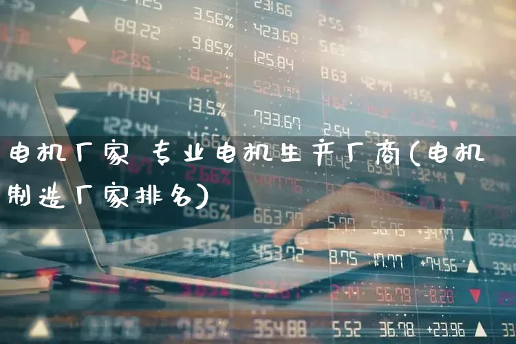电机厂家 专业电机生产厂商(电机制造厂家排名)_https://www.nalian8.com_上交所_第1张