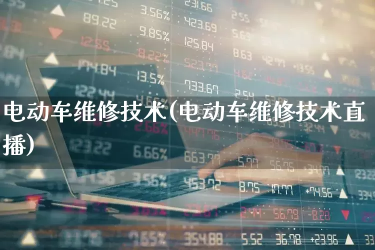 电动车维修技术(电动车维修技术直播)_https://www.nalian8.com_科创板_第1张