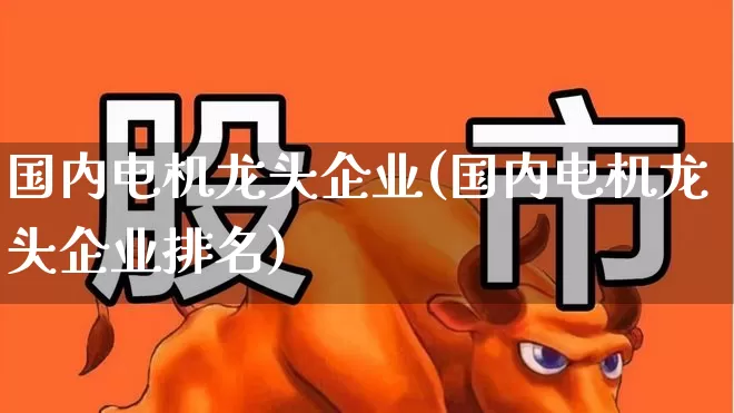 国内电机龙头企业(国内电机龙头企业排名)_https://www.nalian8.com_上交所_第1张