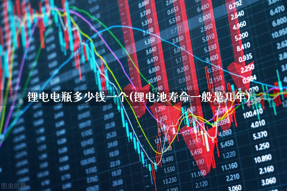 锂电电瓶多少钱一个(锂电池寿命一般是几年)_https://www.nalian8.com_北交所_第1张