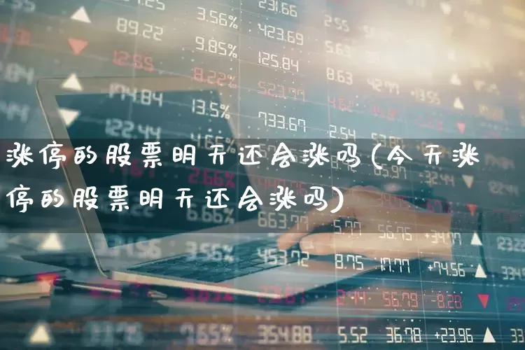 涨停的股票明天还会涨吗(今天涨停的股票明天还会涨吗)_https://www.nalian8.com_上交所_第1张