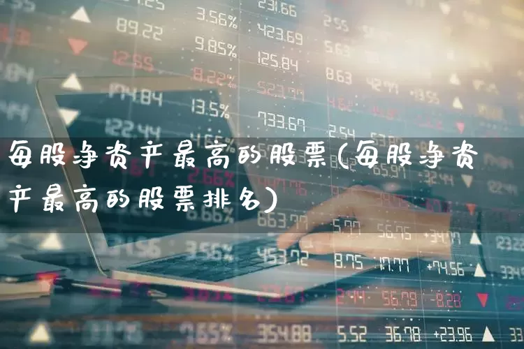 每股净资产最高的股票(每股净资产最高的股票排名)_https://www.nalian8.com_北交所_第1张