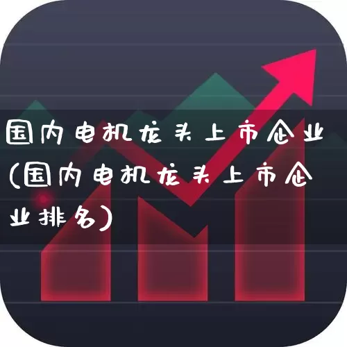 国内电机龙头上市企业(国内电机龙头上市企业排名)_https://www.nalian8.com_科创板_第1张