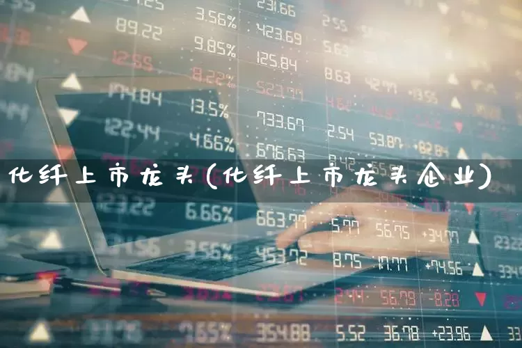 化纤上市龙头(化纤上市龙头企业)_https://www.nalian8.com_北交所_第1张