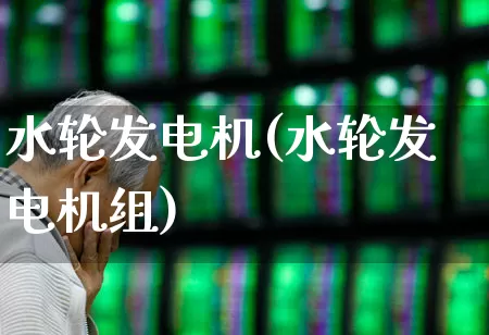 水轮发电机(水轮发电机组)_https://www.nalian8.com_创业板_第1张