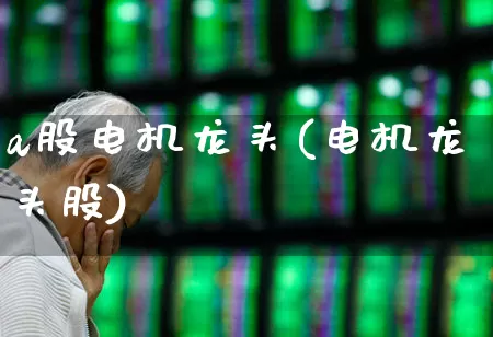 a股电机龙头(电机龙头股)_https://www.nalian8.com_科创板_第1张
