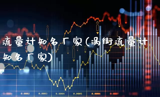 流量计知名厂家(涡街流量计知名厂家)_https://www.nalian8.com_上交所_第1张