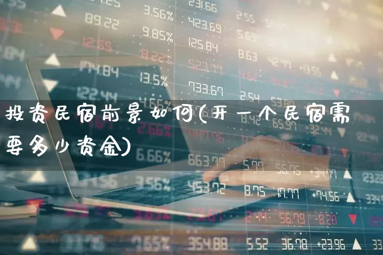 投资民宿前景如何(开一个民宿需要多少资金)_https://www.nalian8.com_深交所_第1张
