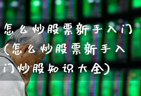 怎么炒股票新手入门(怎么炒股票新手入门炒股知识大全)_https://www.nalian8.com_科创板_第1张