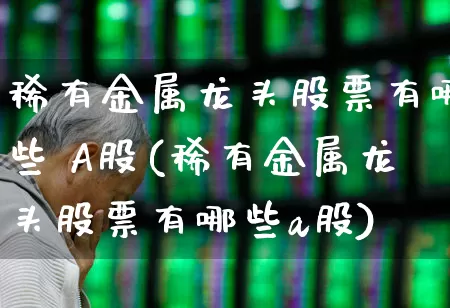 稀有金属龙头股票有哪些 A股(稀有金属龙头股票有哪些a股)_https://www.nalian8.com_创业板_第1张