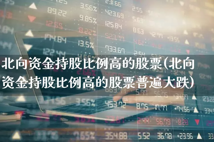 北向资金持股比例高的股票(北向资金持股比例高的股票普遍大跌)_https://www.nalian8.com_科创板_第1张