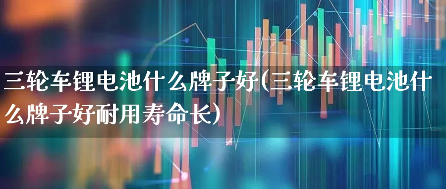 三轮车锂电池什么牌子好(三轮车锂电池什么牌子好耐用寿命长)_https://www.nalian8.com_创业板_第1张