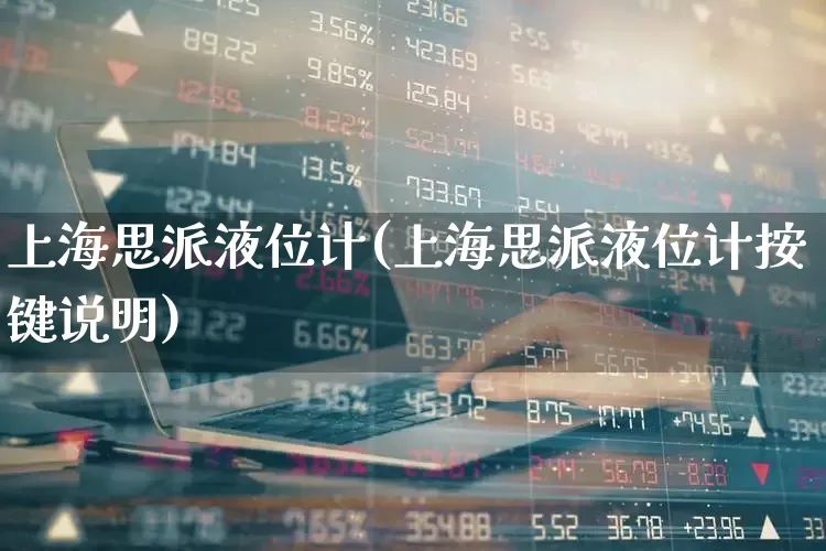 上海思派液位计(上海思派液位计按键说明)_https://www.nalian8.com_创业板_第1张