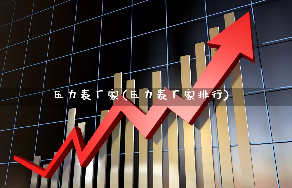 压力表厂家(压力表厂家排行)_https://www.nalian8.com_科创板_第1张