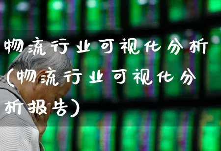 物流行业可视化分析(物流行业可视化分析报告)_https://www.nalian8.com_上交所_第1张
