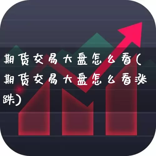 期货交易大盘怎么看(期货交易大盘怎么看涨跌)_https://www.nalian8.com_科创板_第1张