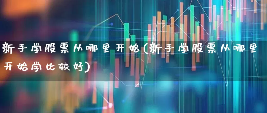 新手学股票从哪里开始(新手学股票从哪里开始学比较好)_https://www.nalian8.com_深交所_第1张