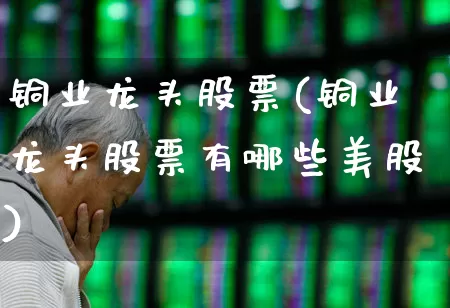 铜业龙头股票(铜业龙头股票有哪些美股)_https://www.nalian8.com_上交所_第1张