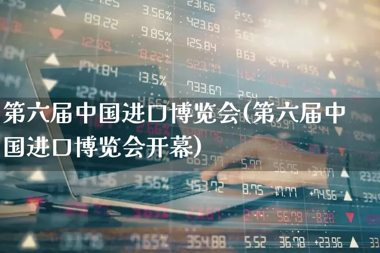 第六届中国进口博览会(第六届中国进口博览会开幕)_https://www.nalian8.com_北交所_第1张