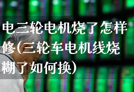 电三轮电机烧了怎样修(三轮车电机线烧糊了如何换)_https://www.nalian8.com_北交所_第1张