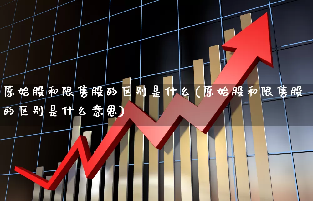 原始股和限售股的区别是什么(原始股和限售股的区别是什么意思)_https://www.nalian8.com_创业板_第1张