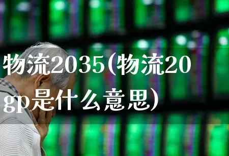 物流2035(物流20gp是什么意思)_https://www.nalian8.com_北交所_第1张