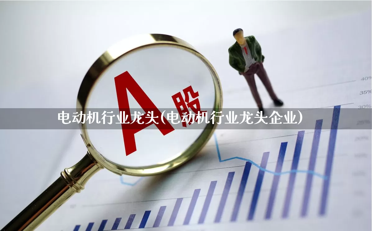 电动机行业龙头(电动机行业龙头企业)_https://www.nalian8.com_上交所_第1张