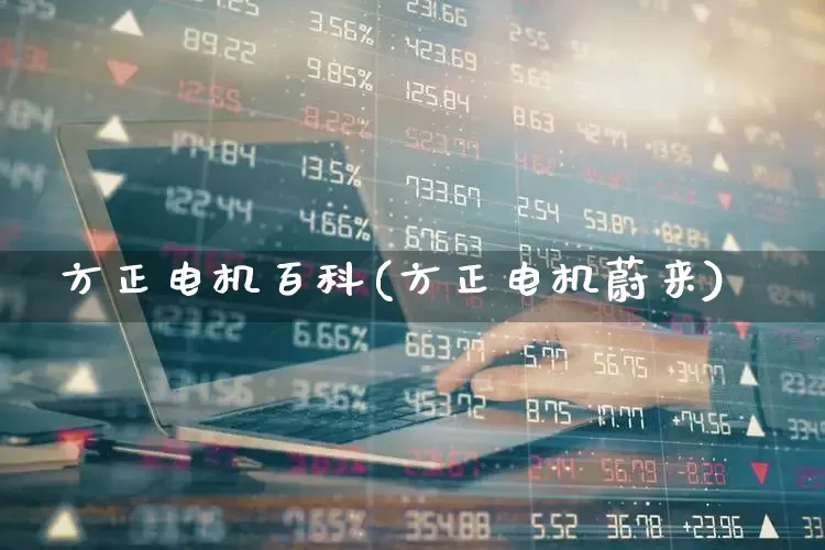 方正电机百科(方正电机蔚来)_https://www.nalian8.com_创业板_第1张