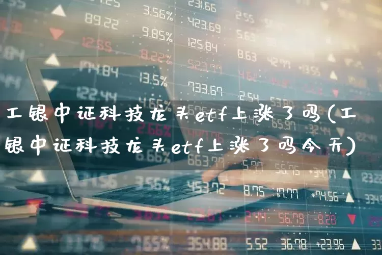 工银中证科技龙头etf上涨了吗(工银中证科技龙头etf上涨了吗今天)_https://www.nalian8.com_创业板_第1张