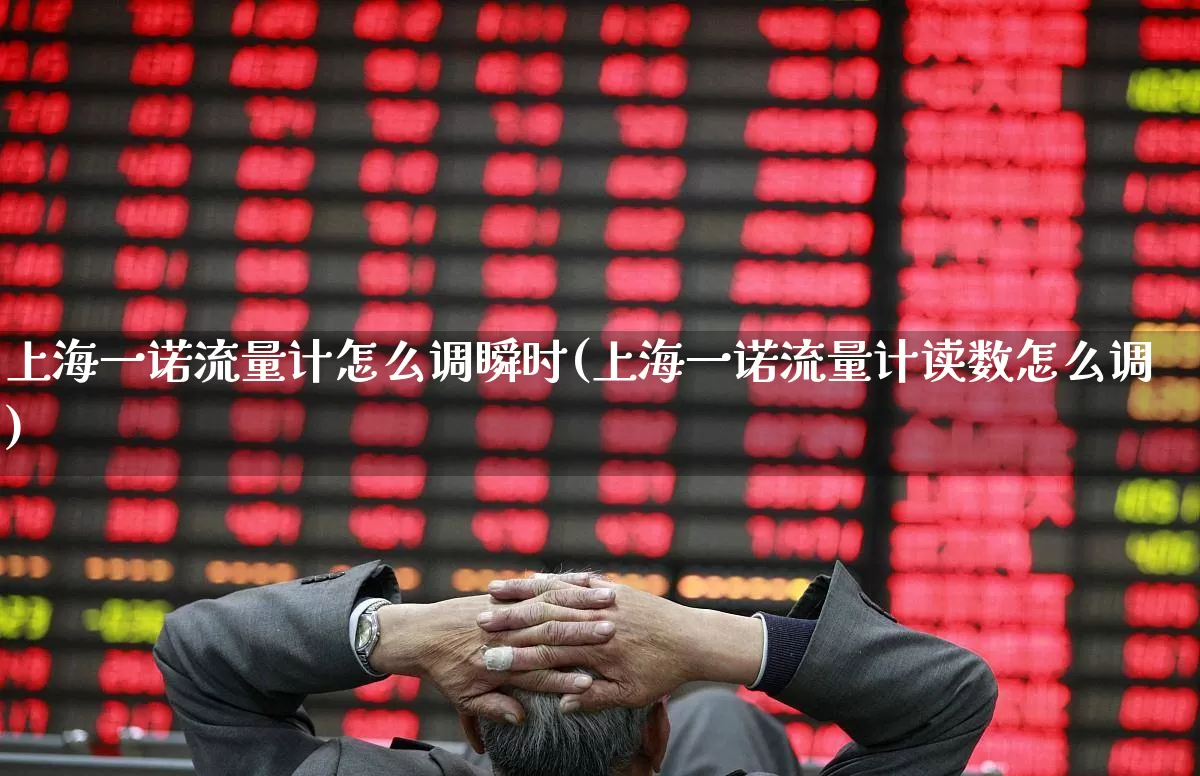 上海一诺流量计怎么调瞬时(上海一诺流量计读数怎么调)_https://www.nalian8.com_上交所_第1张