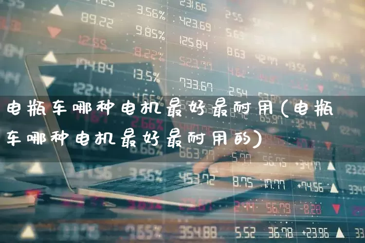 电瓶车哪种电机最好最耐用(电瓶车哪种电机最好最耐用的)_https://www.nalian8.com_创业板_第1张